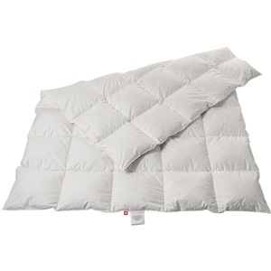 duvetsuisse.com, duvetsuisse.com Daunenduvet Medium Goose Standard, 
