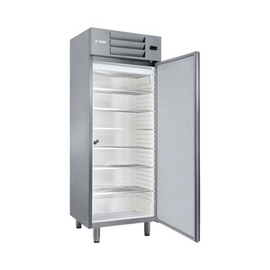 FORS, FORS Gefrierschrank, Edelstahl, ABS, für 14 Körbe GFS 550 ES, Fors GFS 550 ES Gastronomie?-?Gefrierschrank Edelstahl rechts