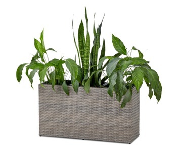 undefined, Blumenkasten »Thore«, Blumenkasten »Thore«