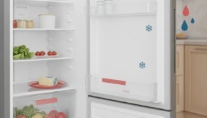 Schimmel im Kühlschrank