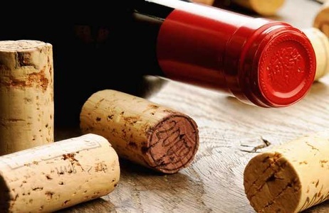 Rotweine Amarone
