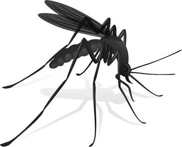 Anti-Zecken-Mittel / Anti-Mücken-Mittel