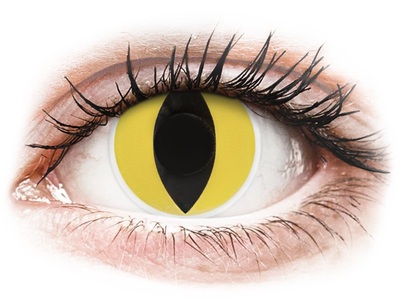 Maxvue Vision, ColourVUE Crazy Lens - Cat Eye - ohne Stärke (2 Linsen), 