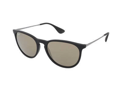 Ray-Ban, Ray-Ban Erika RB 4171 601/5A, Ray-Ban Erika RB 4171 601/5A