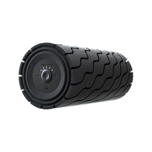 Theragun, Theragun - Wave Roller™, Wave Roller Schaumroller