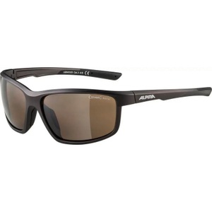 Alpina, Alpina Defey Brille tin matt-black/brown mirror 2020 Sonnenbrillen, Alpina DEFEY Sonnenbrillen - tin matt-black brown mirror