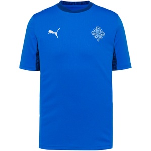 Puma, PUMA WM 2026 Island Heim Teamtrikot Herren