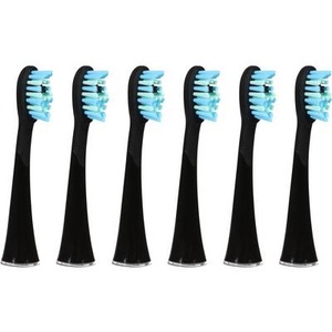 Ailoria 6er Pack Extra Clean Bürstenkopf Zubehör schwarz