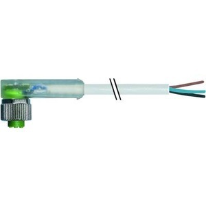 Murr Elektronik, Murr Elektronik 7000-12381-2531000 Sensor-/Aktor-Steckverbinder, unkonfektioniert 10.00 m 1 St., 