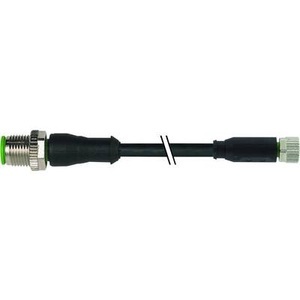 Murr Elektronik, Murr Elektronik 7000-40581-6310100 Sensor-/Aktor-Steckverbinder, konfektioniert 1.00 m Polzahl: 4 1 St., 