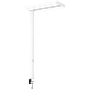 Maul, Maul LED-Tischleuchte, MAULjaval, weiss, dimmbar, 8258302, Maul MAULjaval 8258302 LED-Tischlampe LED Lichtquelle durch Elektrofachkraft austauschbar 64 W Weiß