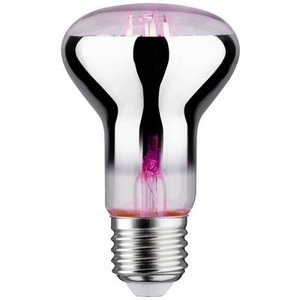 Paulmann, LED-Pflanzenlampe E27 R63 6,5W, Paulmann LED-Pflanzenlampe Wachstum PAULMANN 230 V E27 6.5 W Bernstein 1 St.