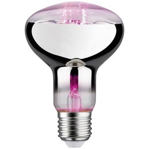 Paulmann, LED-Pflanzenlampe E27 R80 6,5W, Paulmann LED-Pflanzenlampe Wachstum PAULMANN 230 V E27 6.5 W Bernstein 1 St.