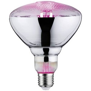 Paulmann, Paulmann LED Pflanzlicht PAR38 E27, Paulmann Leuchtmittel Grow Green PAR38 E27, 6.5 W