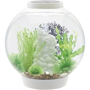 Oase, Oase 72007 Aquarium 30 l mit LED-Beleuchtung, Oase 72007 biOrb CLASSIC 30 LED weiß Aquarium 30 l mit LED-Beleuchtung