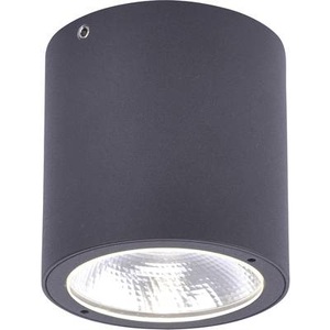 Paul Neuhaus, LED-Außendeckenleuchte 7 W Warm-Weiß EEK: LED (A++ - E) Paul Neuhaus 9673-13 Georg Anthrazit, Modernes oberflächenmontiertes Spotgrau inkl. LED IP54 - Domi