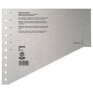 Leitz, Leitz Trennblatt 16510085 DIN A4 gestaffelt 200 g Karton grau, Leitz 1 bis 15 Register DIN A4 Überbreite Grau 15-teilig Pappkarton 10 Löcher 1651 100 Stück