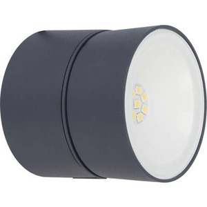 Eco-Light, Kippbare LED-Außenwandleuchte Trumpet, Lutec Trumpet 6260 gr LED-Außenwandleuchte 11 W Grau