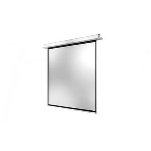 Celexon, Celexon Professional + 1000000864 Motorleinwand 200 x 200 cm Bildformat: 1:1, Celexon Deckeinbauleinwand Motor Professional Plus 200x200cm 1:1