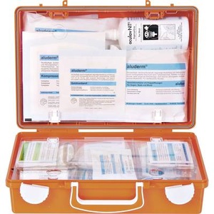 Söhngen, Söhngen 0350108 Erste-Hilfe-Koffer Chemie & Physik SN-CD Orange, 