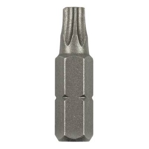Bosch Accessories, Bosch Accessories Torx-Bit T 8 C 6.3 2 St., 