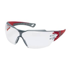 Uvex, Uvex 9175260 Schutzbrille Blau, Grau, uvex Schutzbrille Skyguard NT, Klar
