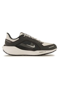 NIKE, Pegasus 41 Gore-Tex® Herren Laufschuh
