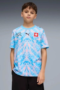 Puma, Puma - Fussball Trikot, Switzerland 26 Home Kids GK, 164, Blau
