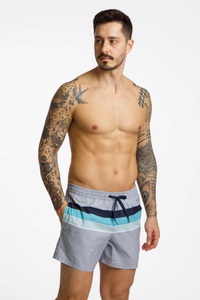 QUIKSILVER, Quiksilver Everyday Printed Volley 15" Herren Badeshort Grau, Herren, Größe: L