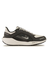 Pegasus 41 Gore-Tex® Herren Laufschuh