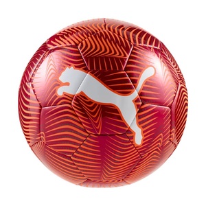 Puma, Final Graphic Fussball