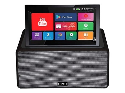 ZICPLAY ZIC-KAR-6565 (+2 Mics) Bluetooth-Karaoke-Lautsprecher, Schwarz