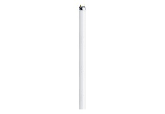Osram, OSRAM Leuchtstoffröhre EEK: A (A++ - E) G5 13 W Röhrenform (Ø x L) 16 mm x 517 mm 1 St., 
