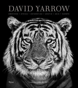 undefined, David Yarrow Photography, 