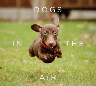 Orion, Dogs in the Air, 