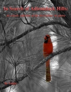 Bookbaby, In Search of Adirondack Hills, 