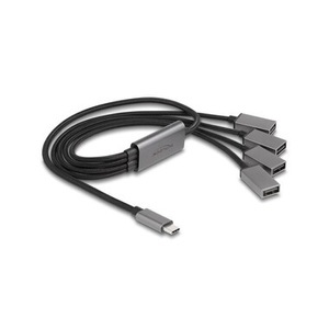 Delock, DeLock USB Hub 2 0 4x A Type C 60 cm Schnittstellenkarte ? Div Karten
