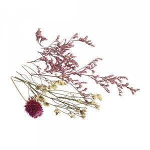 undefined, Mini Trockenblumen zartrosa & weiss, Mini Trockenblumen zartrosa & weiss