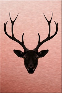 undefined, Alu-Dibond-Druck »Ireland - The Black Deer - Schwarzer Hirsch«, Wall-Art Metallbild »Ireland The Black Deer Schwarzer Hirsch«, Landschaften, Metallposter modern