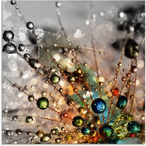 Artland Glasbild »Farbenfrohe Natur«