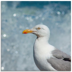 Artland Glasbild »Möwe an der Nordseeküste«