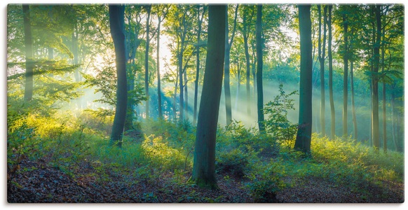 Artland, Artland Wandbild »Wald Panorama«, Waldbilder, (1 St.), in vielen Grössen & Produktarten - Alubild / Outdoorbild für den Aussenbereich, Leinwandbild, Poster, Wandaufkleber / Wandtattoo auch für Badezimmer geeignet, Artland Wandbild »Wald Panorama«, Waldbilder, (1 St.), als Alubild, Outdoorbild, Leinwandbild, Poster, Wandaufkleber