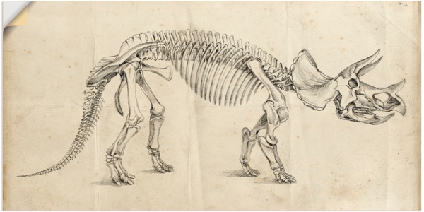Artland, Artland Wandbild »Dinosauria Lehre II«, Artland Wandbild »Dinosauria Lehre II«, Dinosaurier, (1 St.), als Alubild, Outdoorbild, Poster in verschied. Grössen