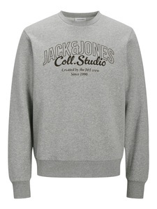 Jack & Jones Sweatshirt »JJMAKOTO SWEAT CREW NECK«