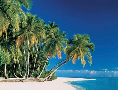 Papermoon, Papermoon Fototapete »Tropical Palms«, Papermoon Fototapete »Tropical Palms«