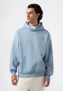 Champion Kapuzensweatshirt, (1 tlg.)