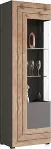 xonox.home, xonox.home Vitrine »Freno«, INOSIGN Vitrine »Aalborg, Höhe 194 cm, 1 Glastür, 2 Glaseinlegeböden, Metallgriffe«, Vitrinenschrank, Hochschrank, Stauraumschrank, Wohnmöbel, Wohnzimmer