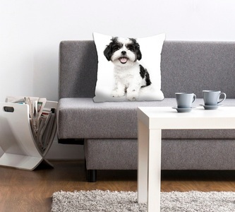 queence Dekokissen »Malteser«, (1 St.), mit einem Malteser Hund