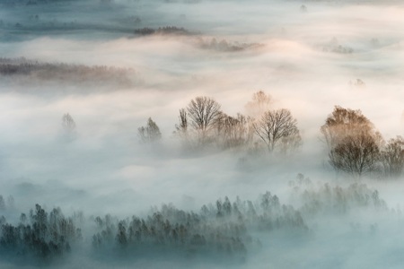 Papermoon, Papermoon Fototapete »Photo-Art MARCO GALIMBERTI, WINTERNEBEL«, Vliestapete, hochwertiger Digitaldruck, inklusive Kleister, Papermoon Fototapete »Photo-Art MARCO GALIMBERTI, WINTERNEBEL«