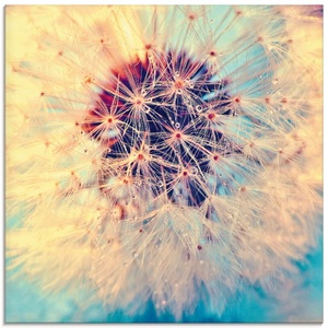 Artland, Artland Glasbild »Pusteblume ganz nah«, Artland Glasbild »Pusteblume ganz nah«, Blumen, (1 St.), in verschiedenen Grössen
